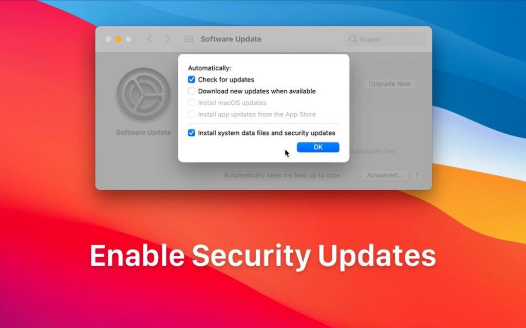 Check and Enable Security Updates on your Mac